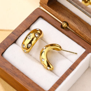 desgin earring
